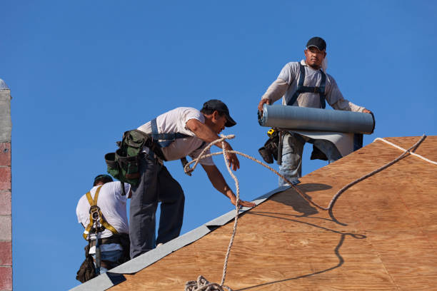 Best Roof Maintenance Services  in Dexter, NM